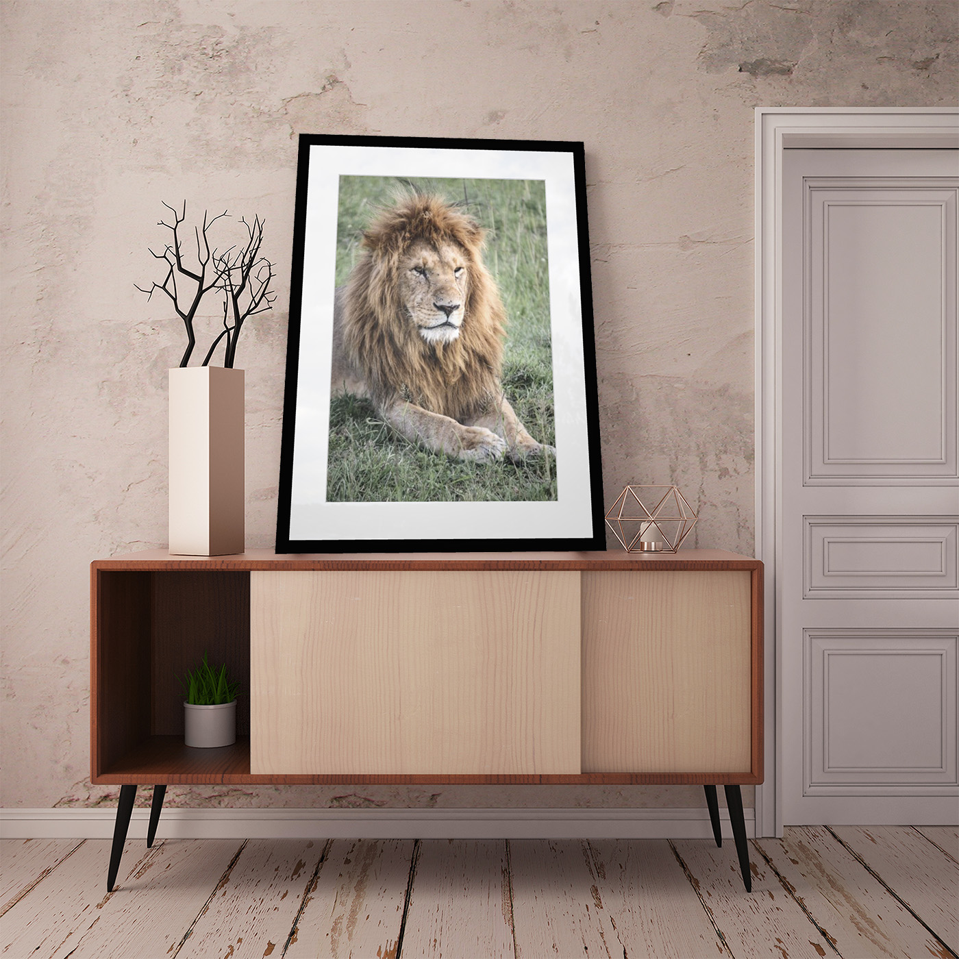 Test 1 Lion Wall Room